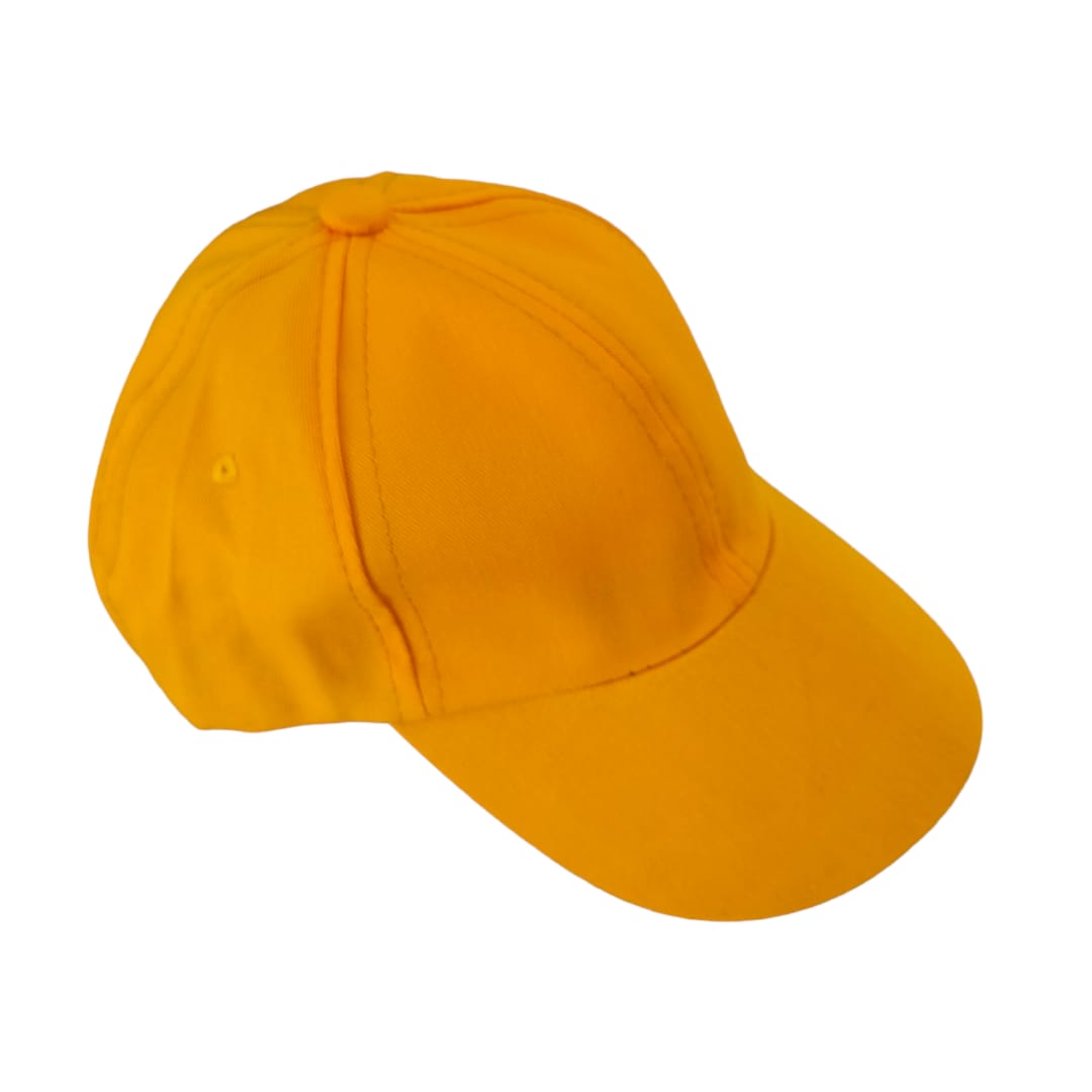 Boy's Caps