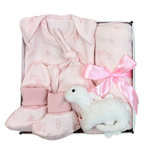 New Born Baby Gift Hamper - Pink