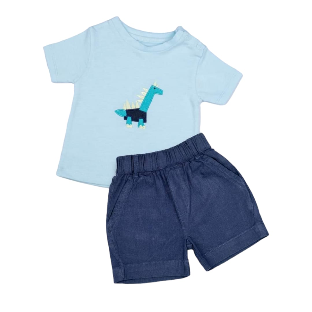 Boy's Dino Printed T Shirt with Dark Blue Short Set