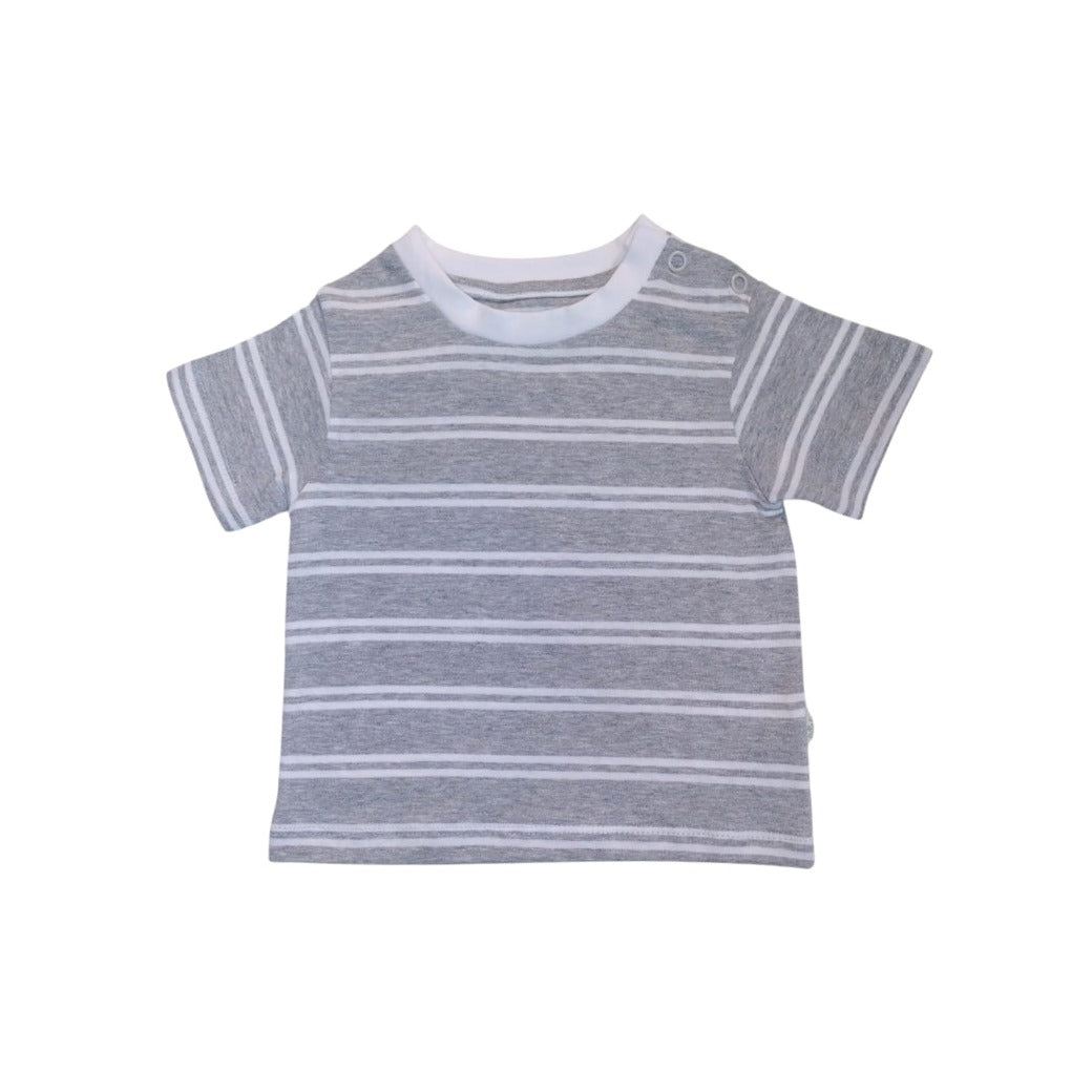 Ash Stripe T - Shirt