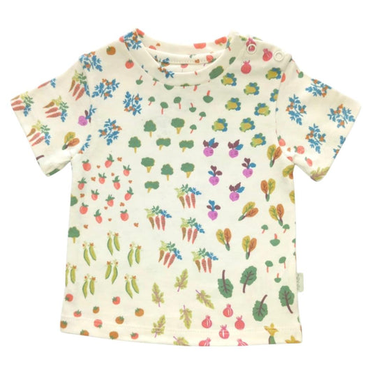 Boy's T Shirt - Vegitable Printed