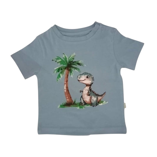 Boy's Dino Print T Shirt - Blue
