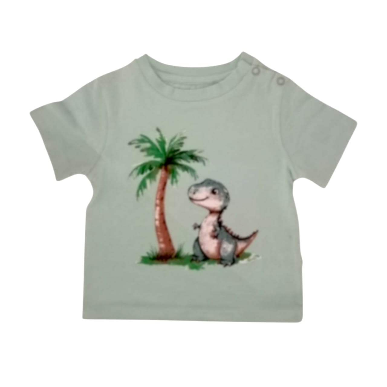 Boy's Dino Print T Shirt - Light Blue